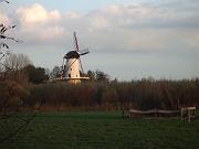 IMGP1077 