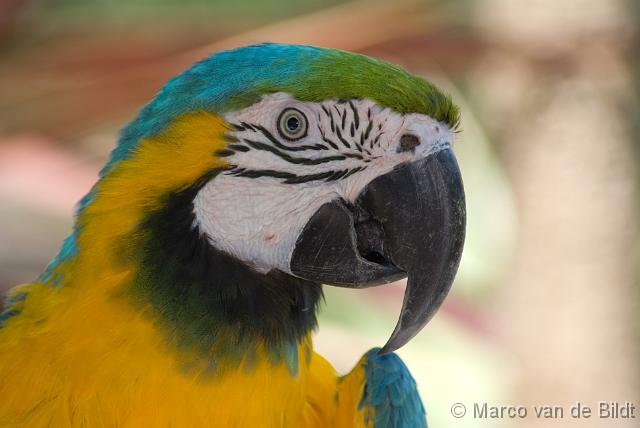 20070619-DSC00672 